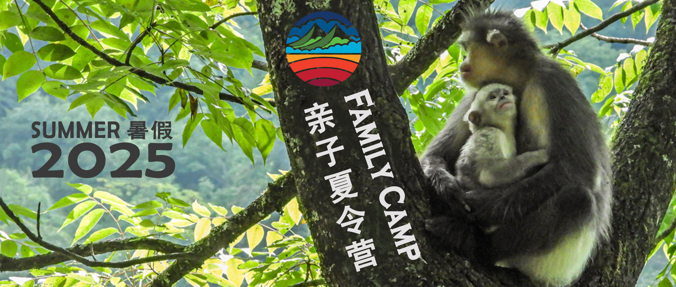 2025 Monkey Conservation Summer Family EcoCamp in Yunnan